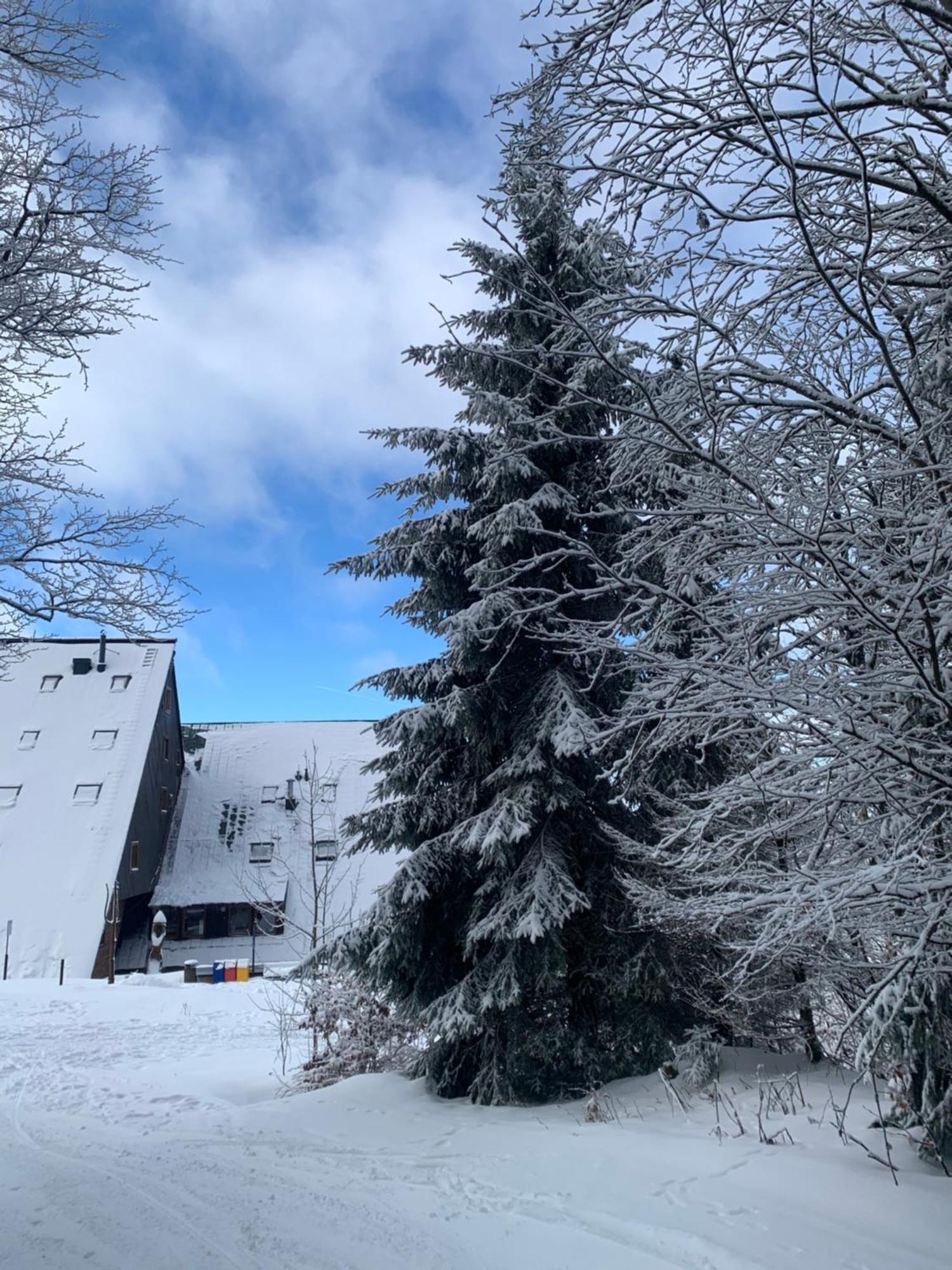 Apartman Zaly Benecko Bagian luar foto